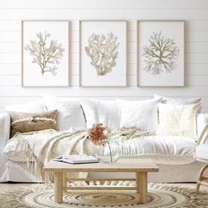Corals Seaweed Watercolor Art Set of 3 Prints Minimalist Botanical Print Nautical Beach House Decor Beige Ecru Neutral Seafan Coastal Art