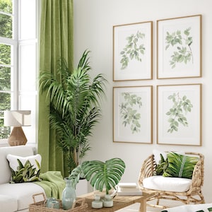 May include: A living room interior with a white couch, a green plant, and a set of four framed watercolor prints of green leaves on a white background.