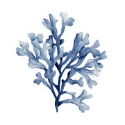 WatercolorBotanicals