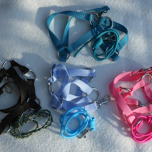 Könnte beinhalten: Fünf verschiedene Hundegeschirre in verschiedenen Farben, darunter Blau, Braun, Hellblau, Pink und Schwarz. Jedes Geschirr hat einen Metallring zum Anbringen einer Leine.