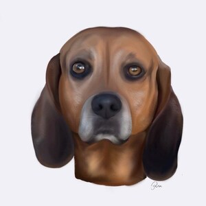 Retrato de mascota personalizado, retrato de perro a partir de una foto, arte para mascotas