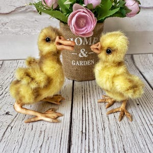 Toy for interior decoration - chicken or duckling