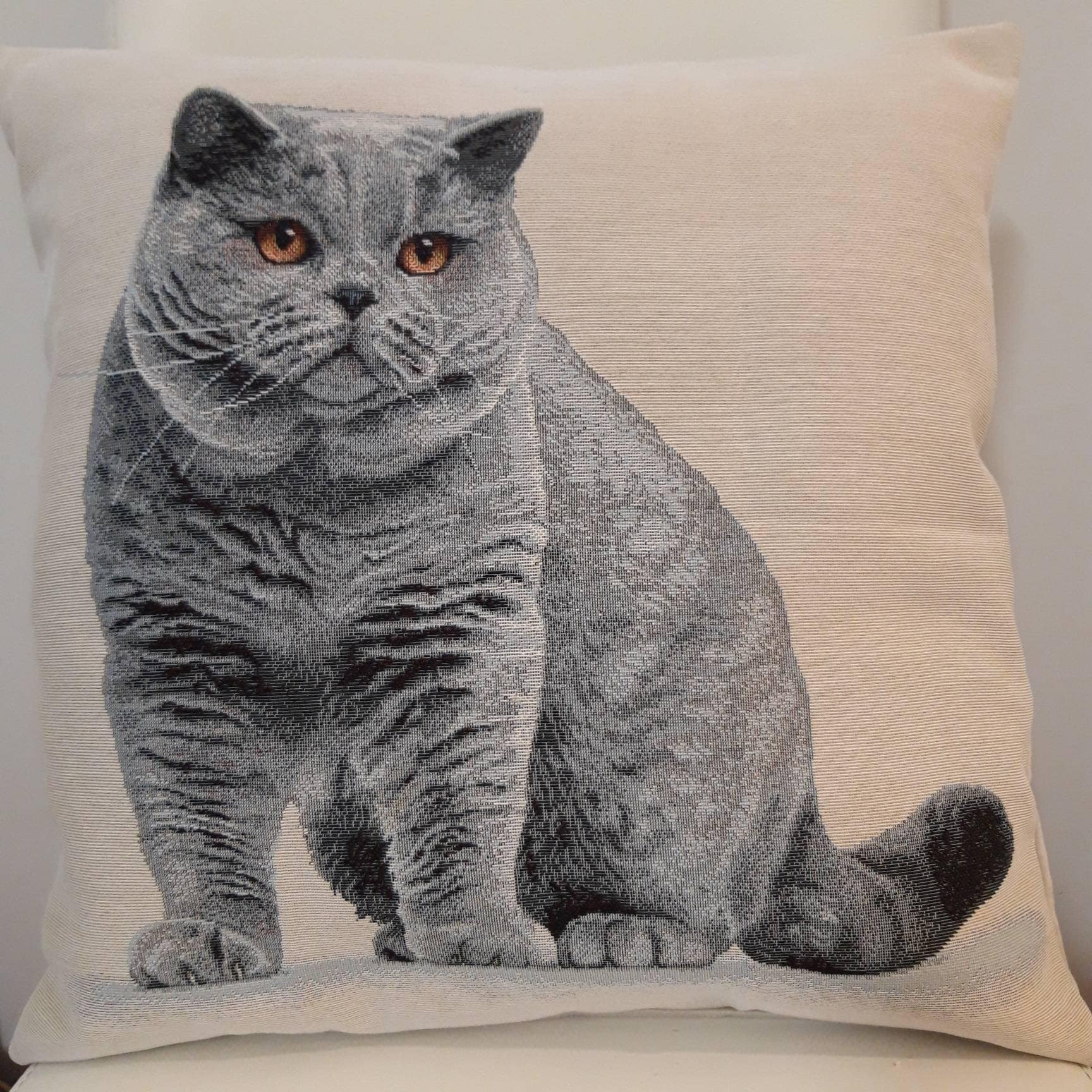 Housse de Coussin Tapisserie Jacquard Chat American Shortair 45x45 cm Déco Tendance - Déco Crémaillè