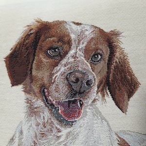 Taie D'oreiller 45x45cm, Chien Border Terrier Canape Housse De Coussin Imprimé Housse Coussin Lavable Décoratif Taie D'oreiller, Pour Salon, Chaise