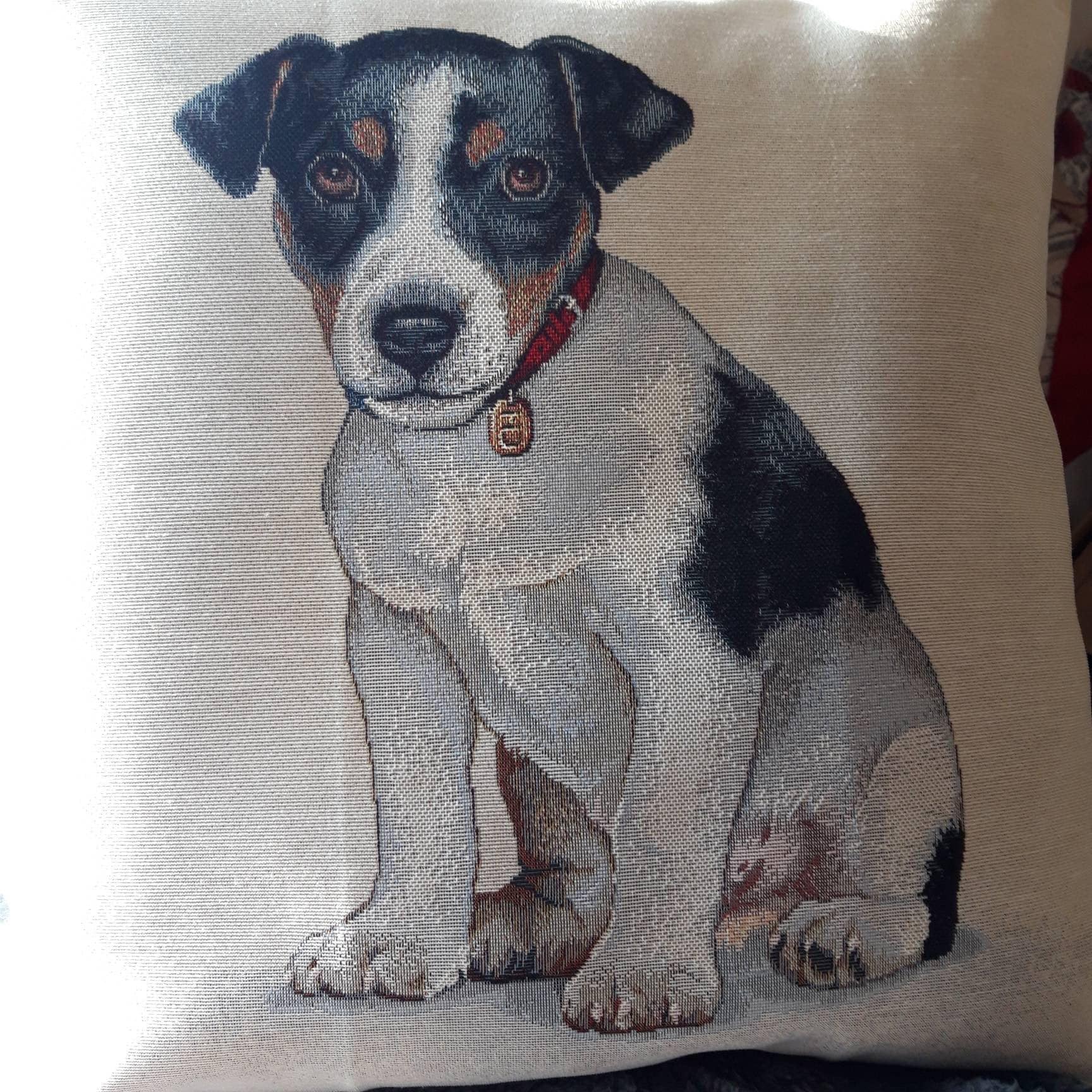 Housse de Coussin Tapisserie Jacquard Chiot Jack Russel 45 X cm. Déco d'intérieur Tendance - Déco Cr
