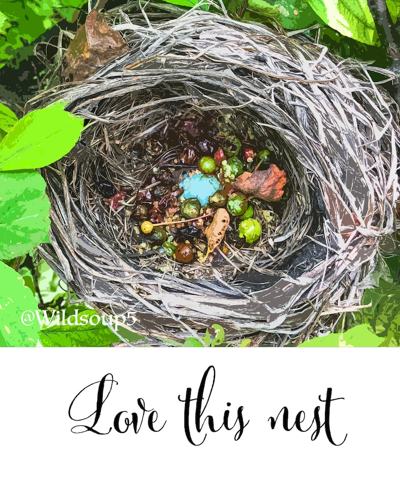 Robbins Egg Nest Love This Nest quote Detailed Photo of Etsy