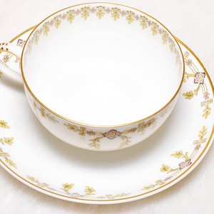 Vintage Collectible Haviland Limoges France Schleiger 580 Teacup Saucer Set