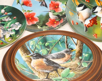 Edwin M. Knowles Kevin Daniels Birds of Your Garden Decorative