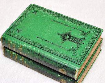 Antique Collectible Macaulays History of England Volumes II and III 1875 Books