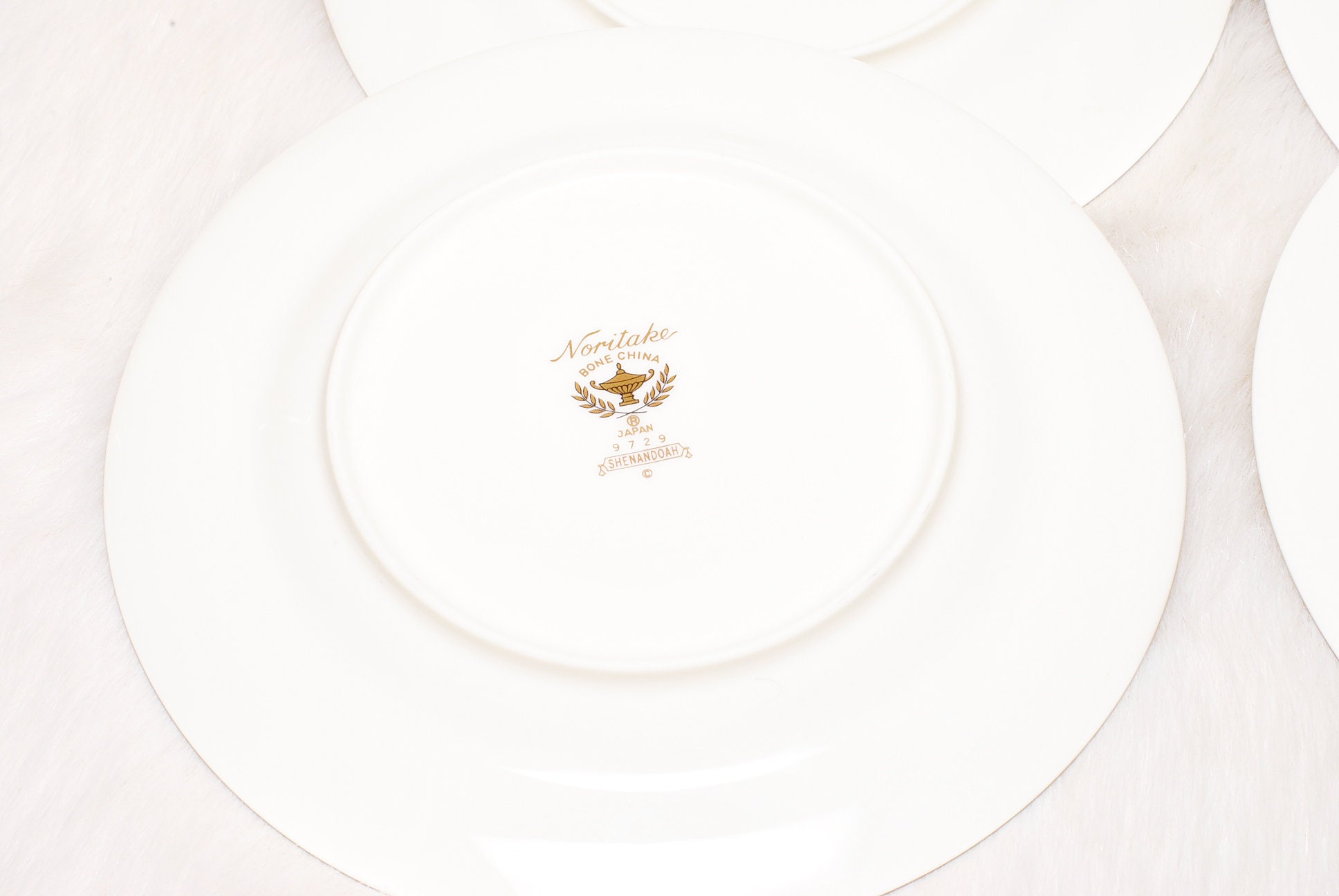 ノリタケ 9729 シェナンドー ヴィンテージ クリーム＆フローラル ノリタケ 9729 シェナンドー ヴィンテージ クリーム＆フローラル