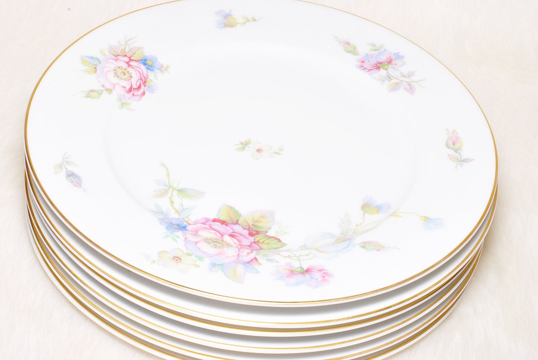 Vintage Collectible 6 Rosenthal Germany Classic Rose Collection Dinner ...