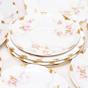 Antique Collectible Haviland Limoges France Schleiger 141e Pink Floral 11 Plates