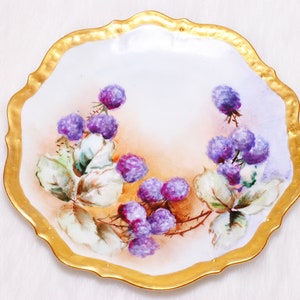 Antique Collectible Carl Tielsch Altwasser Germany Fruits Handpainted Plate