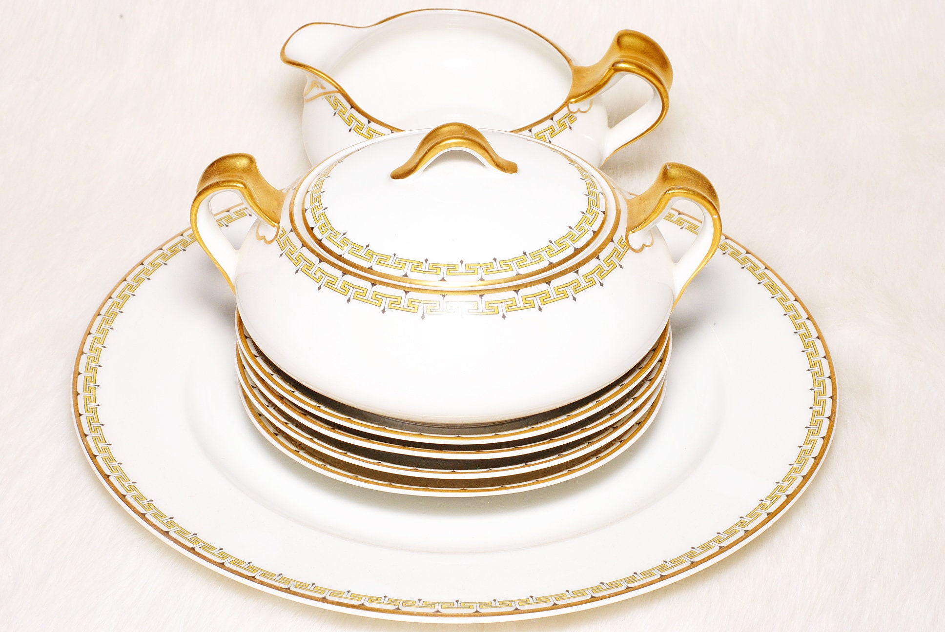 Antique Collectible Haviland Limoges France Albany Schleiger 107a 7