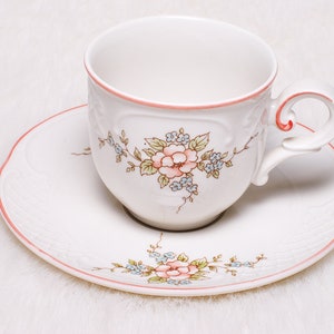 Vintage Collectible Villeroy Boch Danbury Mint Demitasse Cup Saucer Set
