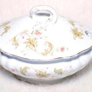 Antique John Maddock Sons Royal Vitreous England Tureen with Lid