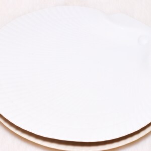 Vintage Collectible Laslo For Mikasa Shell Pattern Beige White 2 Dinner Plates