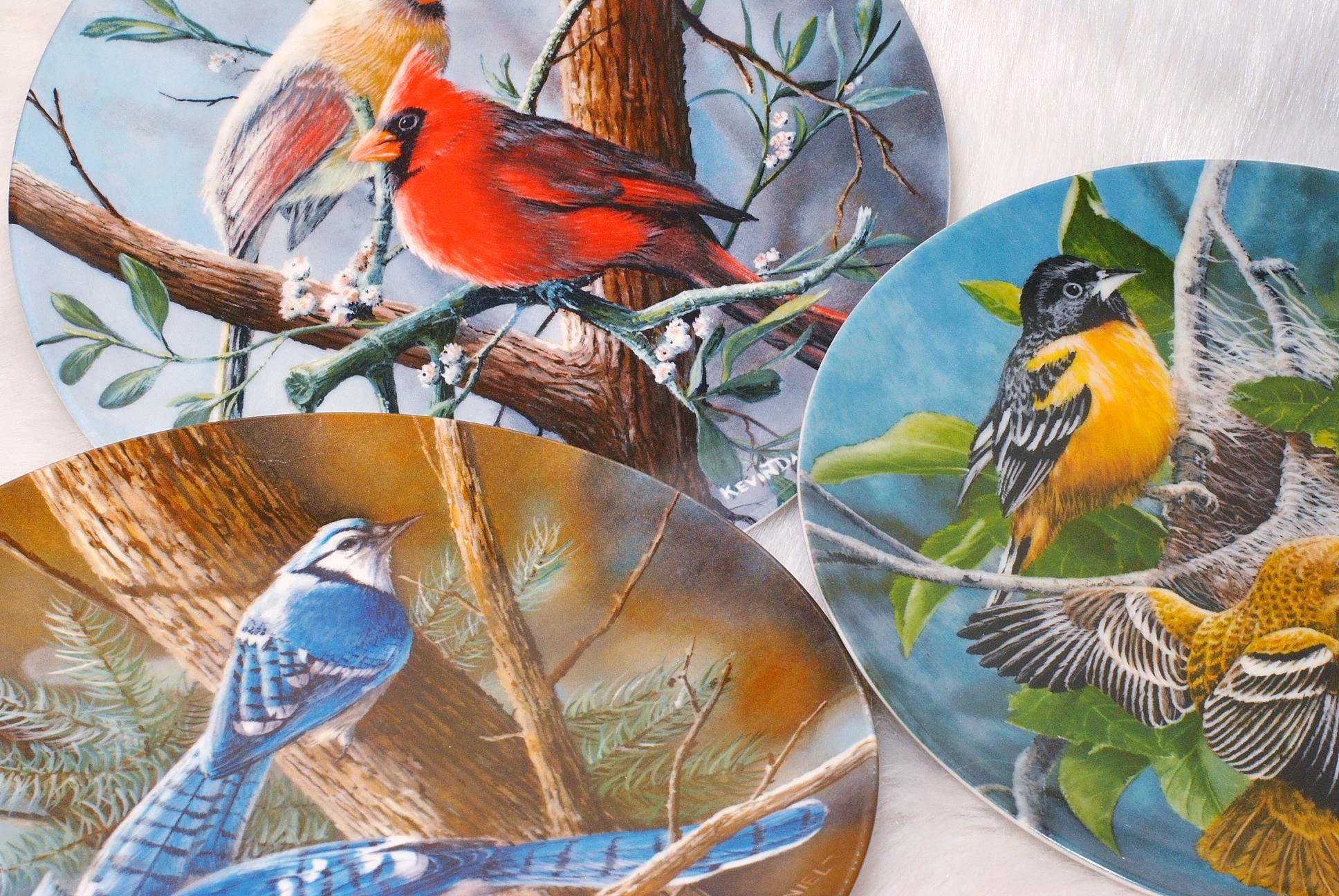 Vintage Collectible 1985 Birds of Your Garden Kevin Daniel 1854