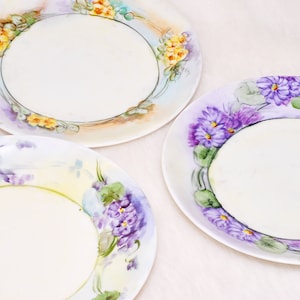 Antique Collectible 3 Carl Tielsch Altwasser Germany Floral Handpainted Plates