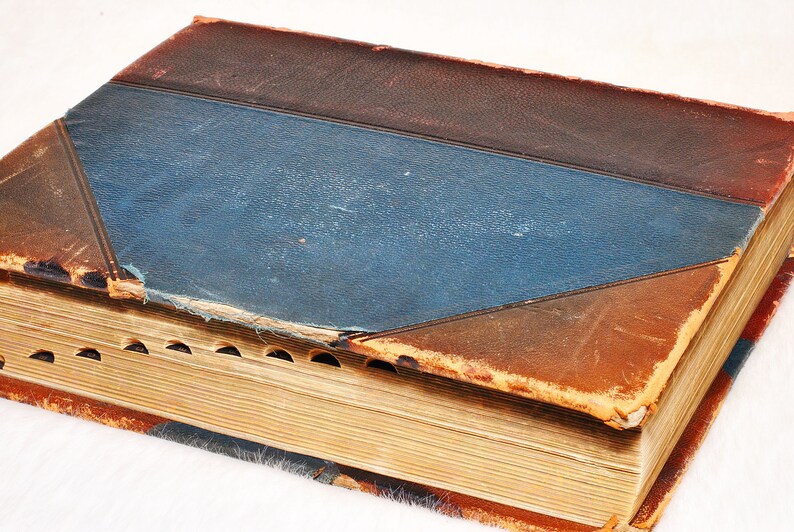 Antique Collectible Standard Dictionary of the English Language Upon