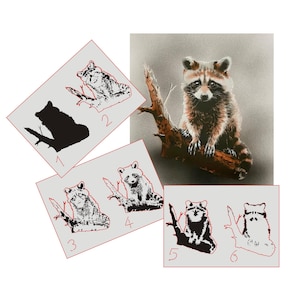 May include: Six different stages of a raccoon stencil design, numbered 1 through 6. The stencil design starts with a silhouette and progresses to a more detailed outline of the raccoon.