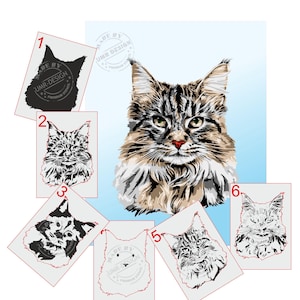 May include: A detailed illustration of a Maine Coon cat with brown, black, and white fur, green eyes, and a red nose. The image includes several variations of the cat's face and the text "UMR-DESIGN".