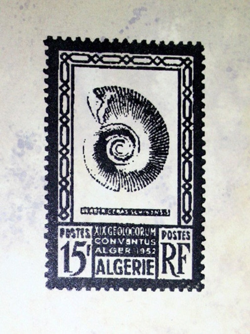 Stempel ST-003 Brief Ammonit 4,5cm x 7cm Bild 1