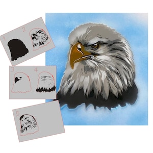 May include: A step-by-step guide to creating a stencil of a bald eagle's head. The image shows five different stages of the stencil, starting with a basic outline and progressing to a more detailed design. The final stencil is shown on a blue background, with the eagle's head in black and white.