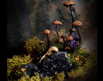 Black Hill - Hongos sobre amatista negra, con cráneo de pájaro, reactivo a la luz ultravioleta. Fluorescencia, mini jardín, jardín de hadas, jardín de cristal