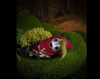 Kardamon, el bebé gnomo del Bosque Oscuro: figura coleccionable, muñeca coleccionable, muñeca ooak, juguete de diseño, decoración gótica de brujas