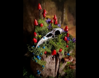 Círculo de hadas: setas rojas en círculo sobre madera, con una calavera de pájaro. Decoración fluorescente para mini jardín, jardín de hadas, jardín de cristal, decoración de setas.