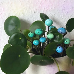 Puede incluir: Una planta en maceta con hojas redondas y verdes y pequeños champiñones de cerámica pintados de azul y verde sobre tallos negros.