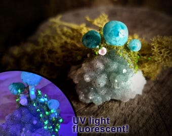 Pequeñas Maravillas - Hongos de amatista arcoíris y azules, fluorescencia UV, decoración de minijardín, jardín de hadas, jardín de cristal, decoración de hongos