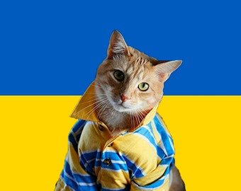 Cat Ukraine Digital *Stand with Ukraine *Pray for Ukraine *Solidarity Ukrainian Patriot *Blue Yellow Flag *Animals Download File *Stop War