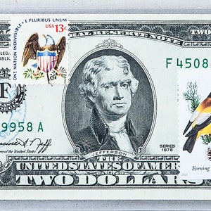 1976 Due dollari *Federal Reserve Note *Francobollo di carta moneta *Regalo da collezione *Valuta statunitense *Banconota da 2 dollari Gem Unc *Soldi portafortuna *Decorazione a forma di uccello
