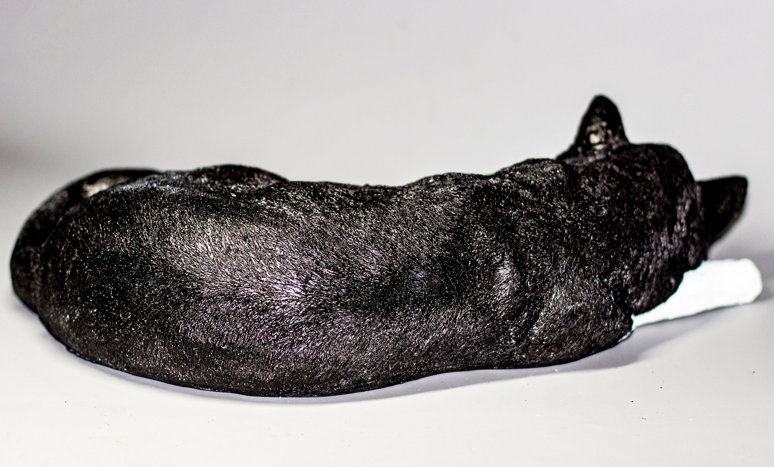 Urne de chat de smoking Urne de crémation Cendres pour animaux de compagnie  Peinture personnalisée commémorative de chat endormi noir blanc Sculpture de  décor de tombe Statue de cadeau de sympathie en