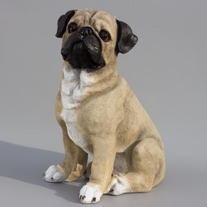 May include: A beige pug figurine with black ears and a black nose. The figurine is sitting with its paws tucked under its body and its head tilted up.