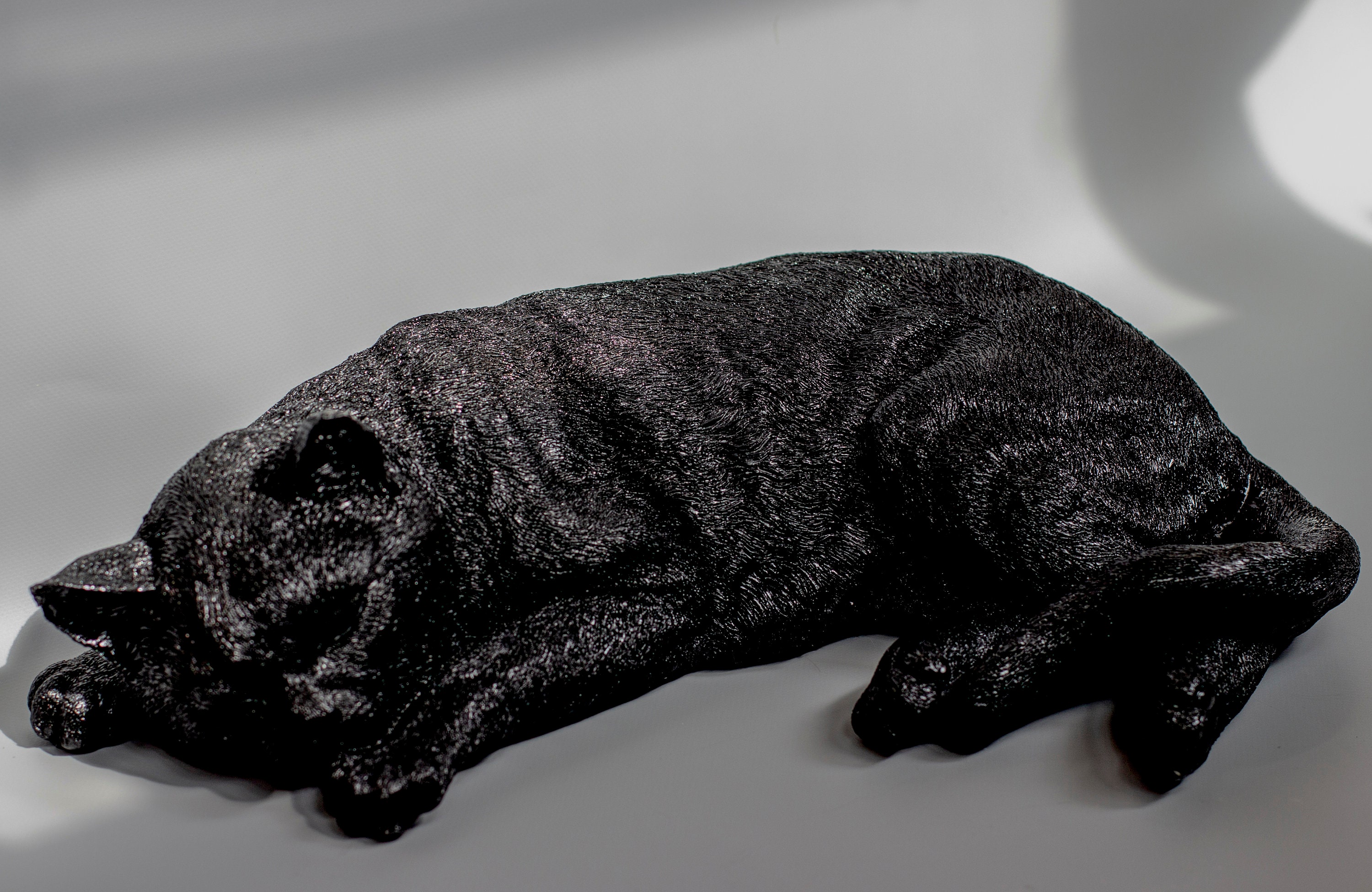 Urn Sleeping Cat Black Cremation Urn Pet Ashes Memorial Etsy