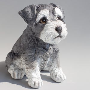 May include: A gray and white miniature schnauzer figurine sitting with its head tilted up. The figurine is made of a realistic material and has a detailed face.