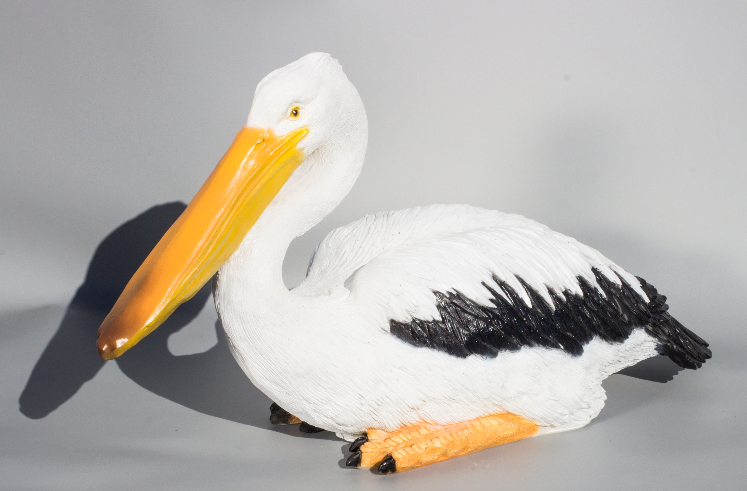 Nautical Pelican Bird Beak Animals & Insects Painting Jet Black Framed Art  Print Wall Art 