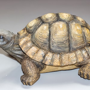 Turtle Urn Ashes Holder *Tortoise Statue Custom Paint *Pet Memorial Funeral Casket *Unique Cremation Keepsake *Burial Remembrance Realistic