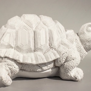 Puede incluir: Estatua de tortuga de cerámica blanca con una concha detallada y un cuerpo texturizado.