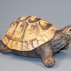 Puede incluir: Una figurita de tortuga de madera tallada con un patrón de caparazón detallado en tonos marrones y beige. La tortuga está en posición de caminar con la cabeza girada hacia la derecha.