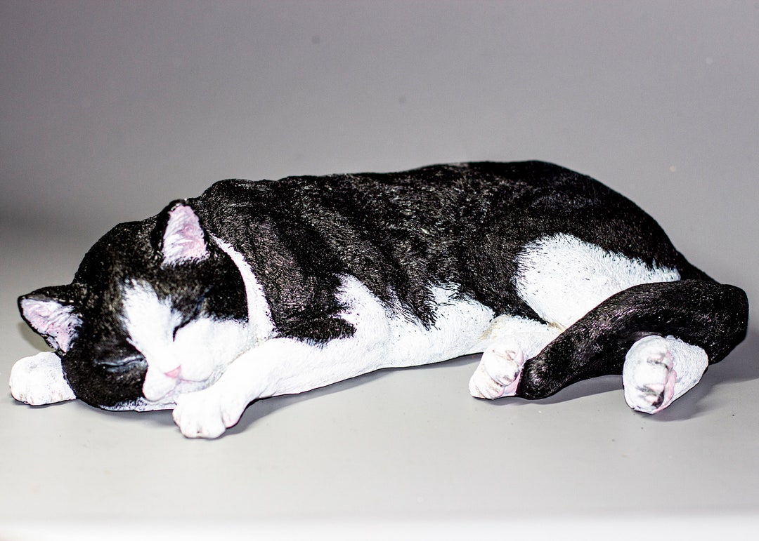 Urne de chat de smoking Urne de crémation Cendres pour animaux de compagnie  Peinture personnalisée commémorative de chat endormi noir blanc Sculpture de  décor de tombe Statue de cadeau de sympathie en plein air -  France