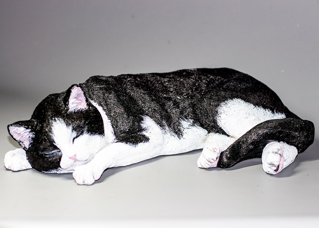 Tuxedo Cat Urn *cremation Urn Pet Ashes *black White Sleeping Statue  Memorial Custom Paint *funeral Casket Sculpture *sympathy Gift Outdoor 