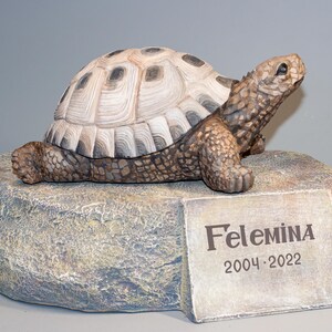Puede incluir: Una pequeña escultura de tortuga tallada en madera, de color marrón y blanco, sobre una base de roca gris. La base tiene una placa con el nombre "Felemina" y las fechas "2004-2022".