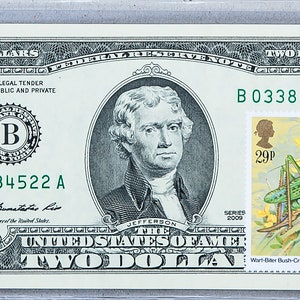 Zwei Dollarschein * Papiergeld US *2 Dollar Briefmarke *Federal Reserve Note *Gem Stempelglanz *Insekt Wohnkultur *Währungssammlung *Muttergeschenk