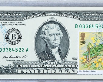 Two Dollar Bill *Paper Money US *2 Dollar Stamp *Federal Reserve Note *Gem Uncirculated *Insect Home Decor *Currency Collection *Mother Gift