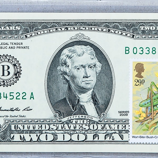 Two Dollar Bill *Paper Money US *2 Dollar Stamp *Federal Reserve Note *Gem Uncirculated *Insect Home Decor *Currency Collection *Mother Gift