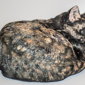 Puede incluir: Primer plano de un gato atigrado enroscado en una bola, durmiendo sobre una superficie blanca. El pelaje del gato es una mezcla de negro, marr&oacute;n y naranja.